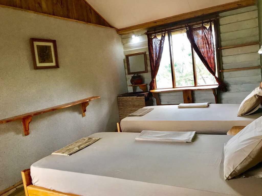 Miseni Retreat Villa Saadani Ngoại thất bức ảnh